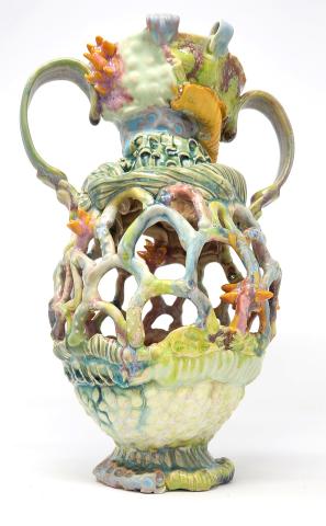 Convergent Evolution: Amphora
