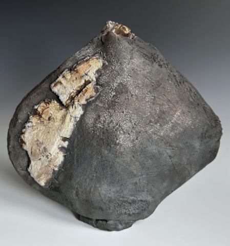 Earth Vessel