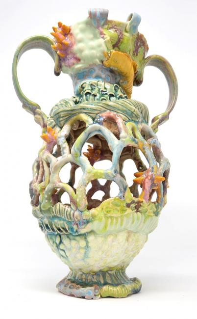 Convergent Evolution: Amphora
